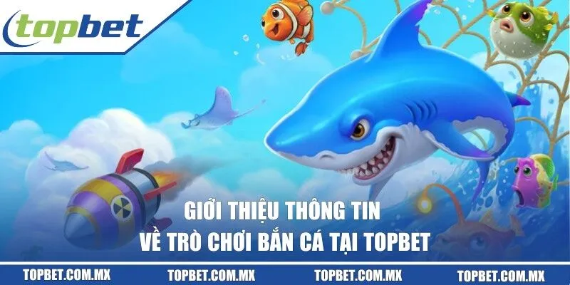 Chia sẻ thông tin về bắn cá tại TOPBET