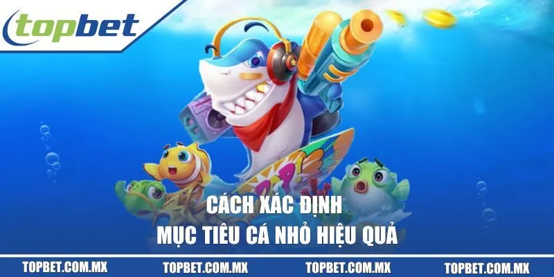 Cách xác định mục tiêu cá nhỏ hiệu quả trong mỗi màn chơi