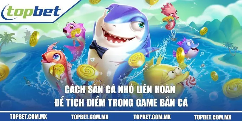 Cách săn cá nhỏ liên hoàn