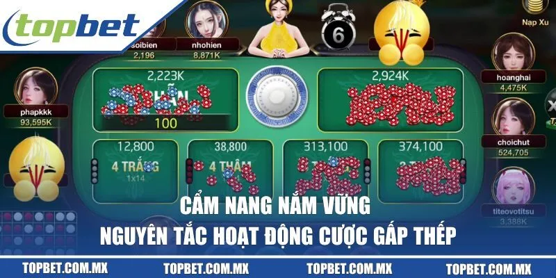 Cẩm nang nắm vững nguyên tắc hoạt động cược gấp thếp