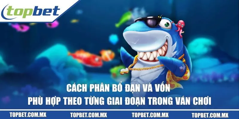 Cách phân bổ đạn và vốn phù hợp theo từng giai đoạn trong ván chơi
