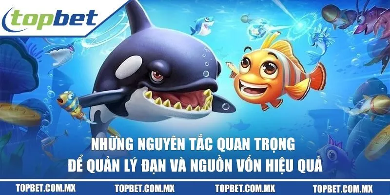 Những nguyên tắc quan trọng để quản lý đạn và nguồn vốn hiệu quả