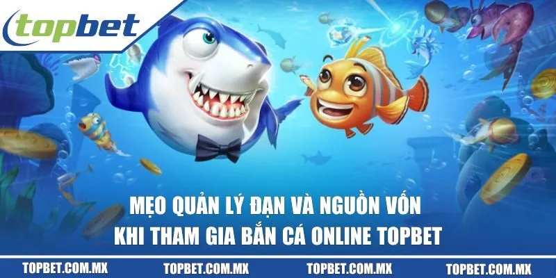 Quản lý đạn và nguồn vốn khi bắn cá