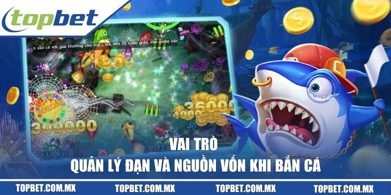 Vai trò của việc quản lý đạn và nguồn vốn khi bắn cá