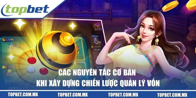 Các nguyên tắc cơ bản khi xây dựng chiến lược quản lý vốn